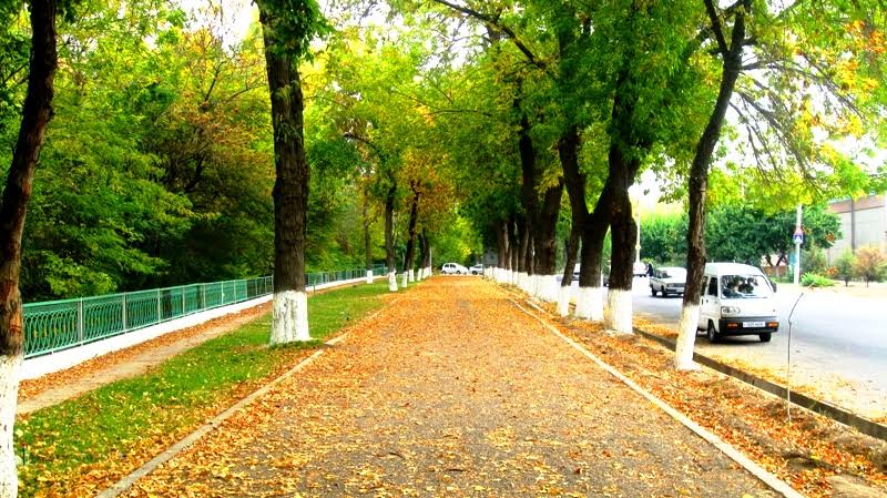 Осень в Ташкенте; фото: Бахтиера Насимова - nasimov.uz
