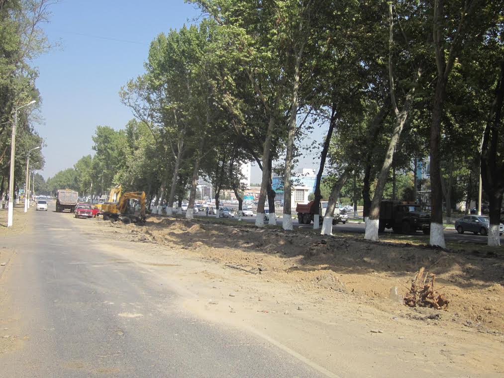 Вырубка деревьев и уничтожение тенистых парков и аллей в Ташкенте стала нормой; Ц-1