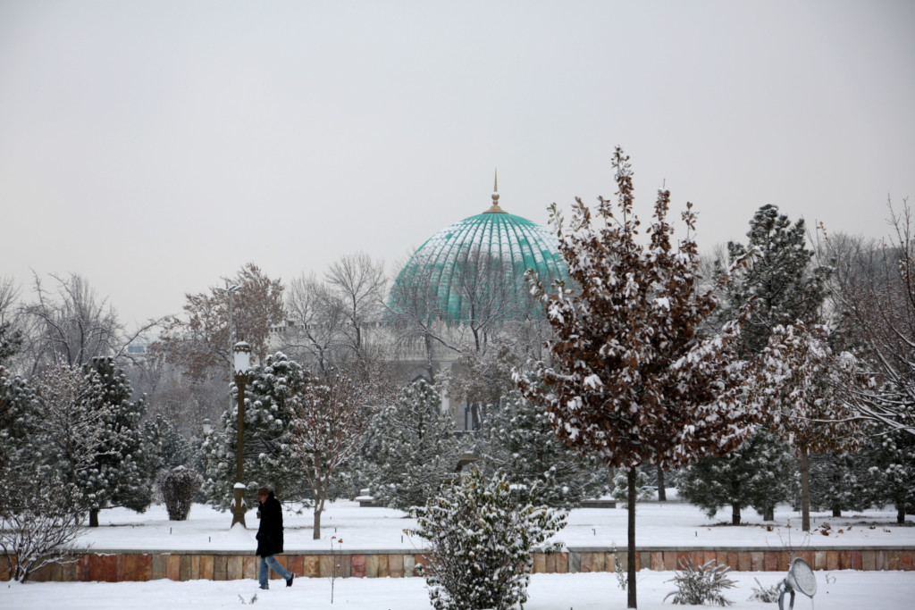Снег в Ташкенте
