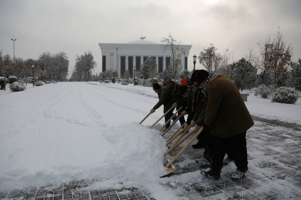 Снег в Ташкенте