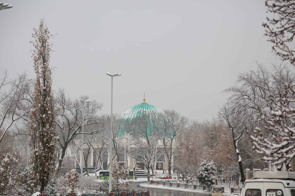 Ташкент январь. Зимний Ташкент. Узбекистан Ташкент зимой. Снегопад в Ташкенте. Зима в Ташкенте.