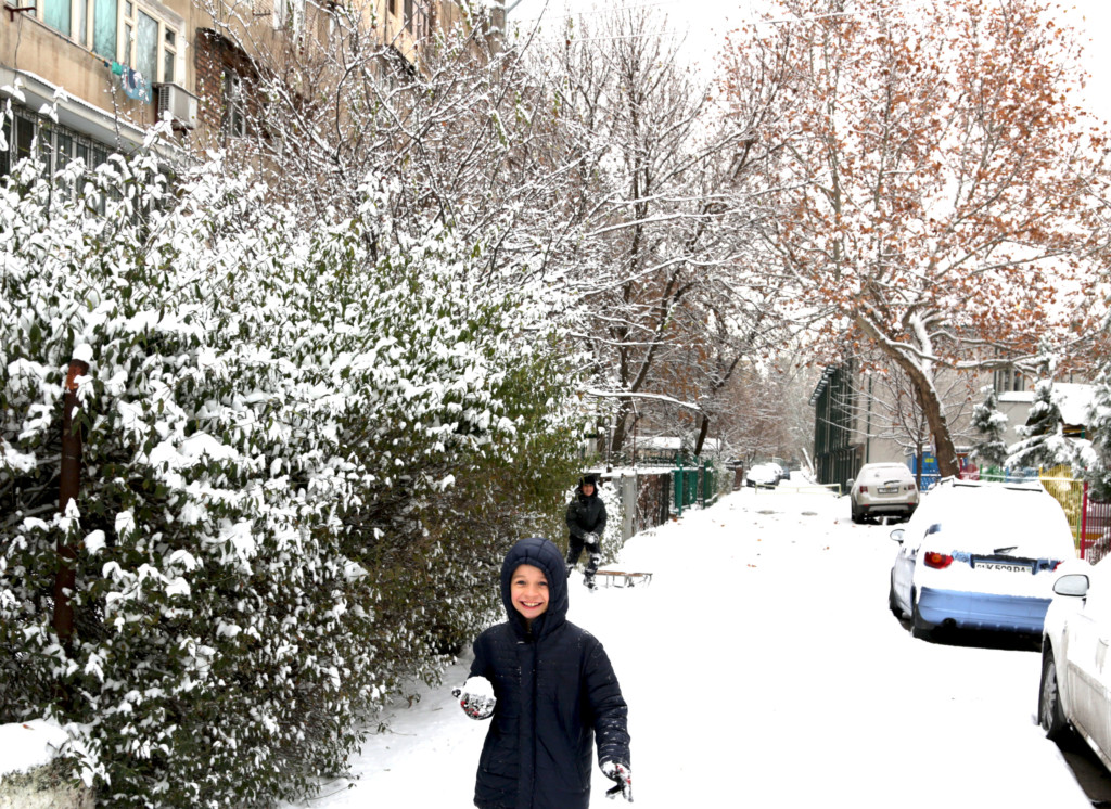 Выпал снег в феврале. Снег в Ташкенте. Снегопад в Ташкенте. Ташкент зимой. Сугробы в Ташкенте.