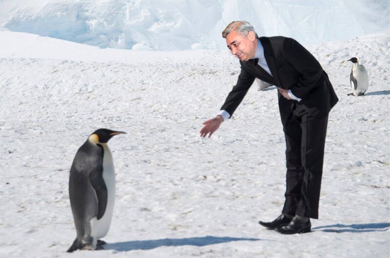 Псевдокетмонов борется за голоса пингвинов на Южном полюсе; Твиттер