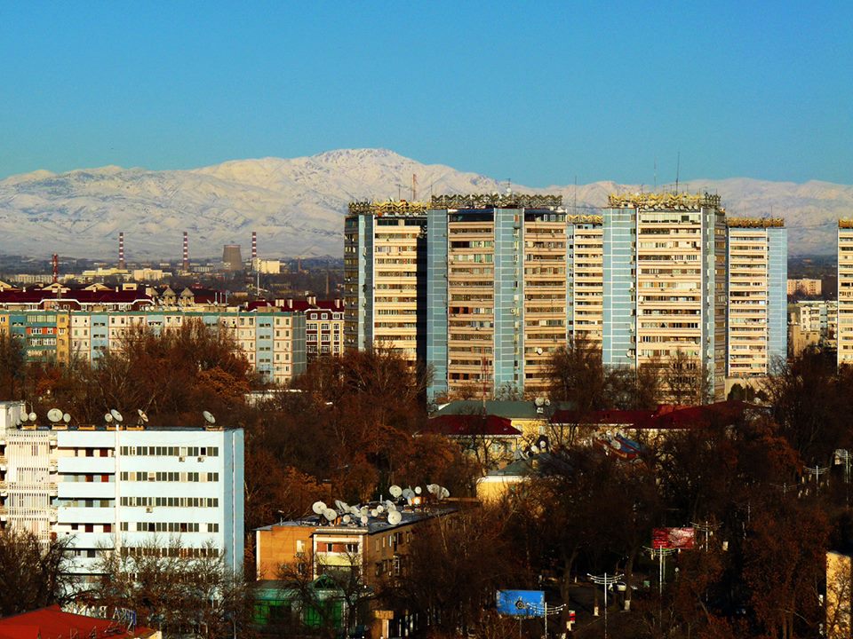 Вид на жилые массивы Ташкента; фото: Эльдар Закиров