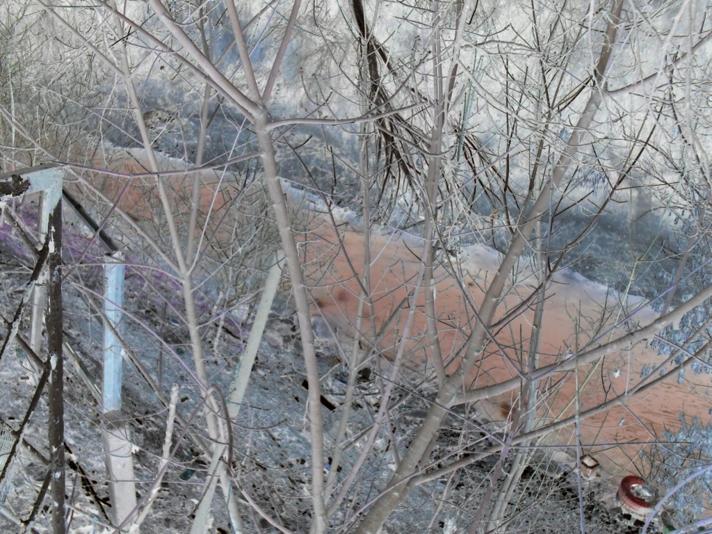 Вычищенный в воскресенье берег реки Бурджара в Ташкенте; фото: Ц-1