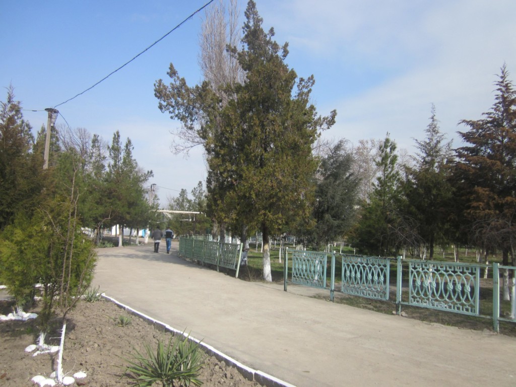 Территория 1-ой Клинической психиатрической больницы Ташкента; фото: Ц-1