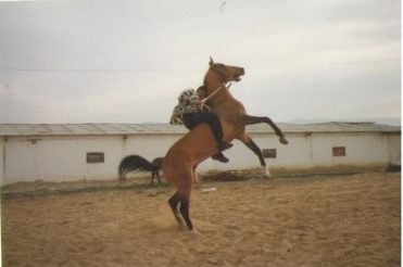Всадник на лошади ахалтекинской породы; фото из семейного архива