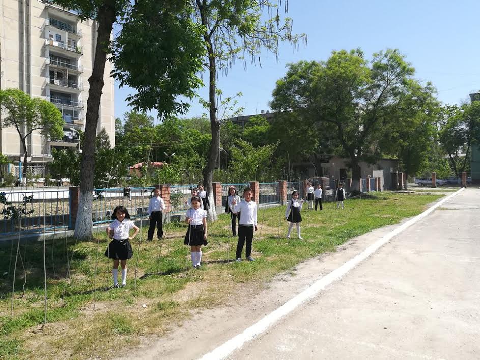 Каждому школьнику в Ташкенте по тополю! Фото: Ц-1