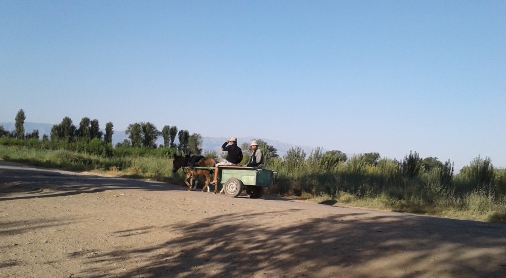 Ишак-арба в Узбекистане; фото: Ц-1