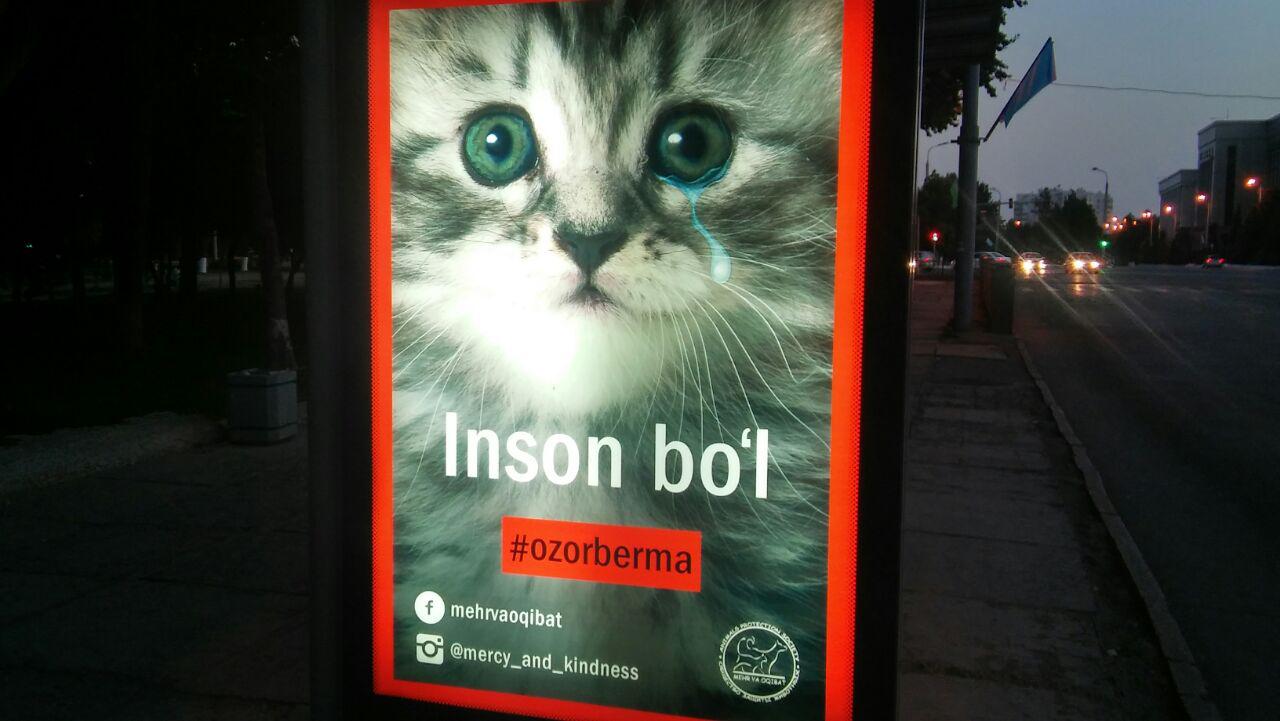 Плакаты в Ташкенте призыват: "Будь человеком"; фото: Ц-1