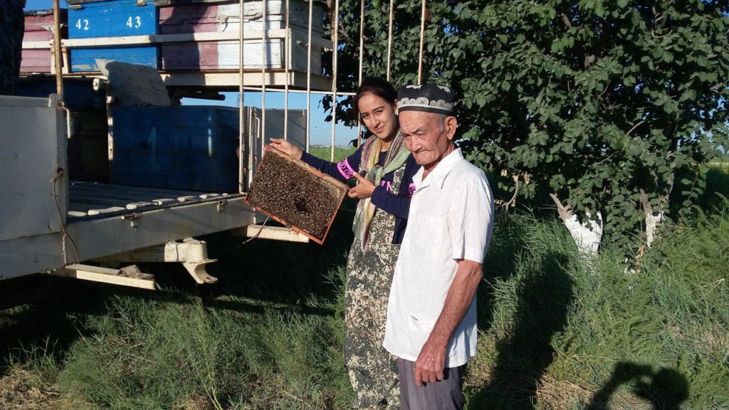 В хозяйстве Нозигуль и пасека на 30 пчелосемей; семейный архив Джураевых