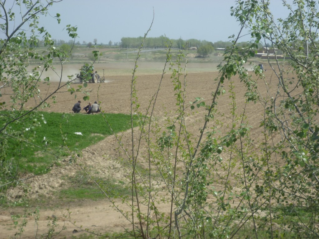 Посев хлопчатника в Узбекистане весной 2018 года; фото: Ц-1