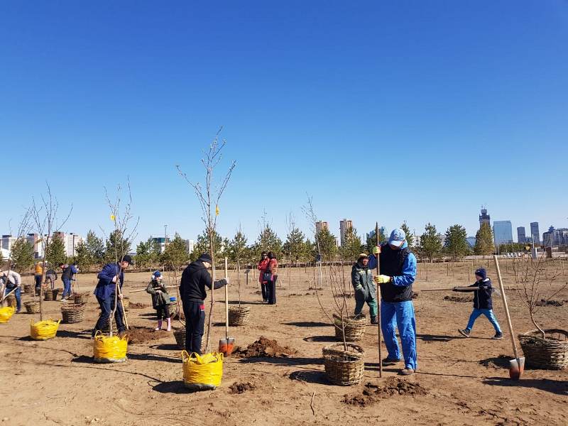 Сотрудники посольства РУз в РК и члены бизнес-клуба "Алтын Орда" сажают деревья; фото: kazinform