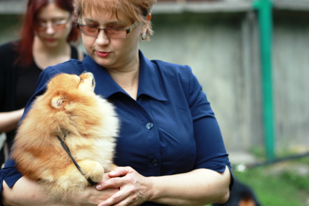На выставке собак в Бишкеке; Фото: Ц-1