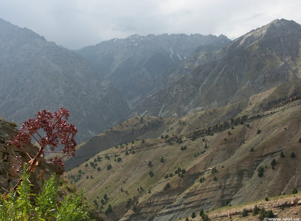 Горы в Сурхандарьинской области Узбекистана; фото: viol.uz