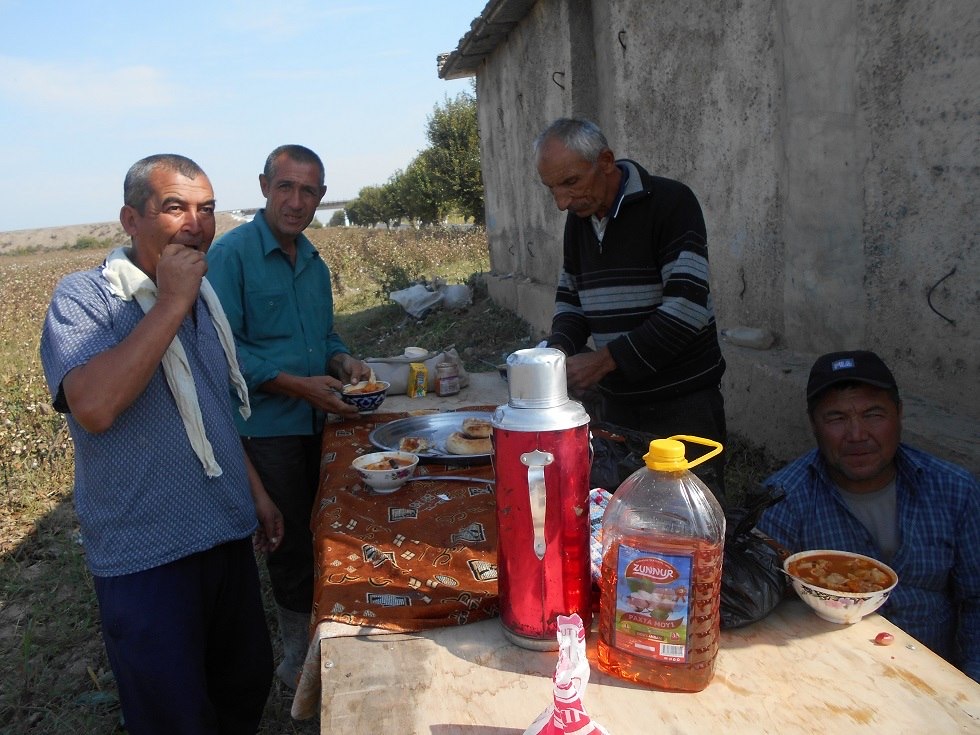 Перерыв на обед в кластере в Наманганской области; фото: ПАУ