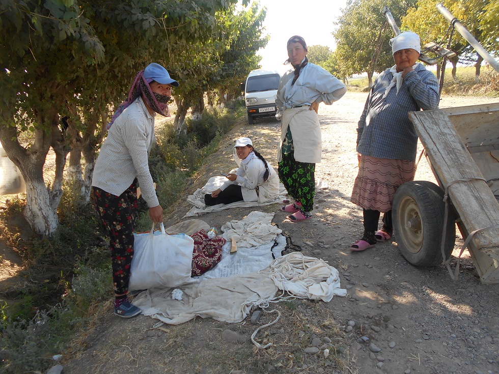 Сборщицы хлопка в "Новом Узбекистане"; фото: ПАУ